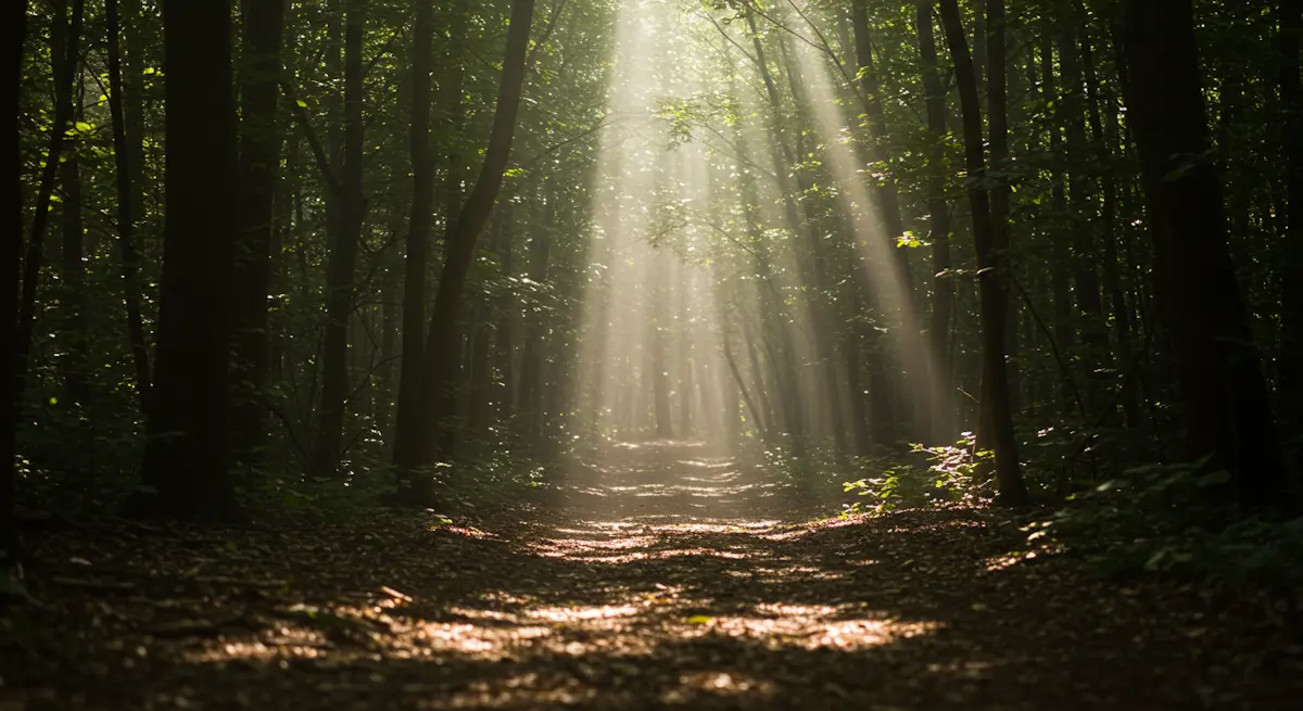 ジョブ型人事制度の光と影